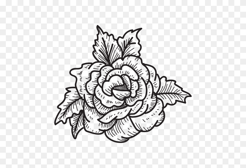 512x512 Blooming Rose Head Sketch Icon - Sketch PNG