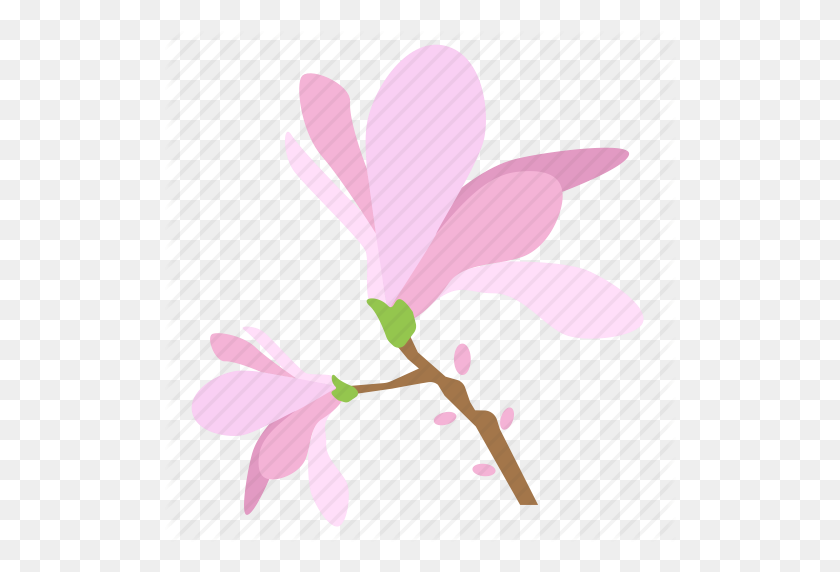 512x512 Цветок, Ботаника, Цветочный, Цветок, Магнолия, Растение, Значок Дерева - Магнолия Png