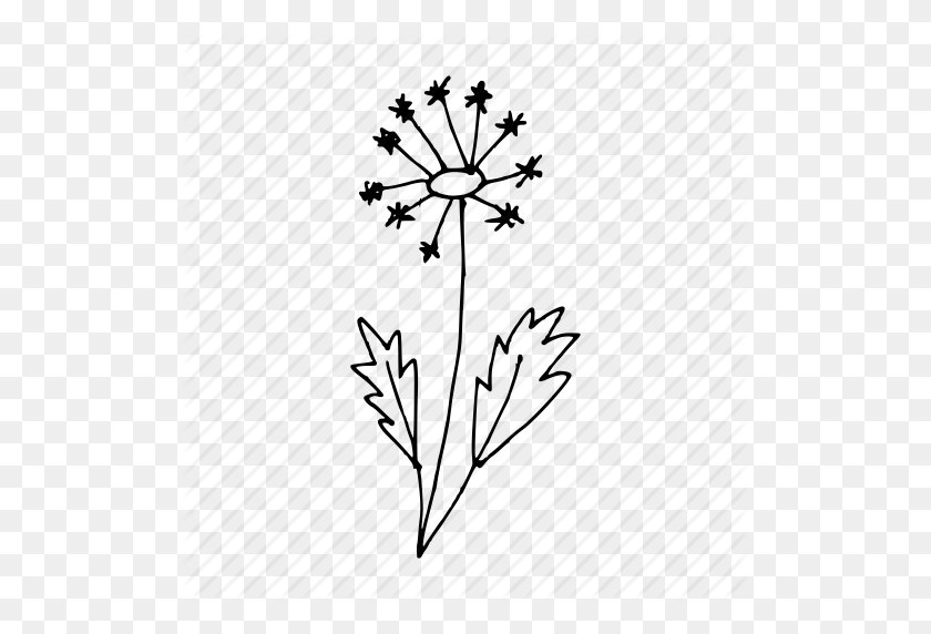 512x512 Blossom, Dandelion, Doodle, Flower, Hand Drawn, Plant, Wild Flower - Flower Doodle PNG