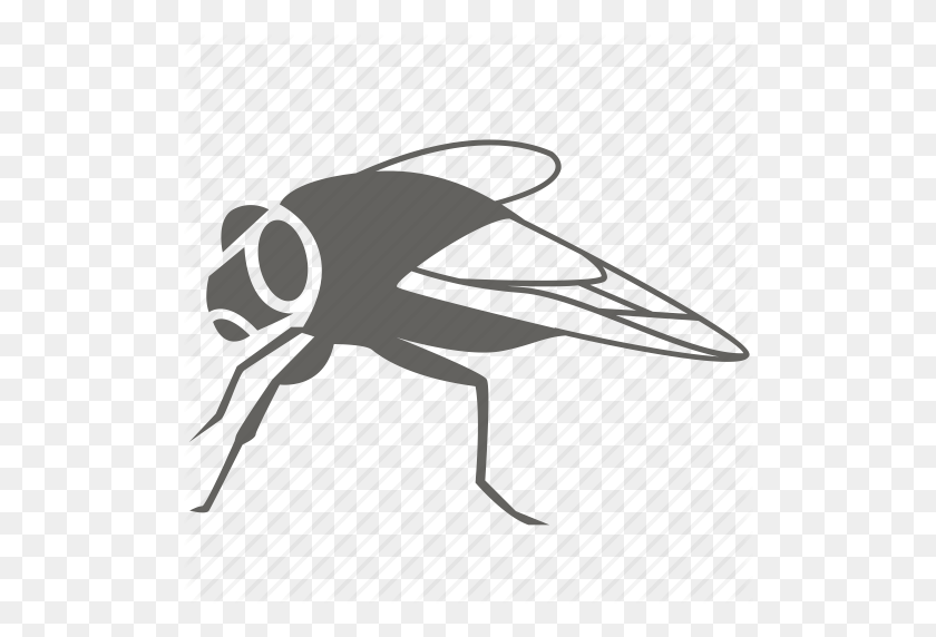 512x512 Blowfly, Bug, Flies, Fly, House, Housefly, Insect, Pest Icon - Flies PNG