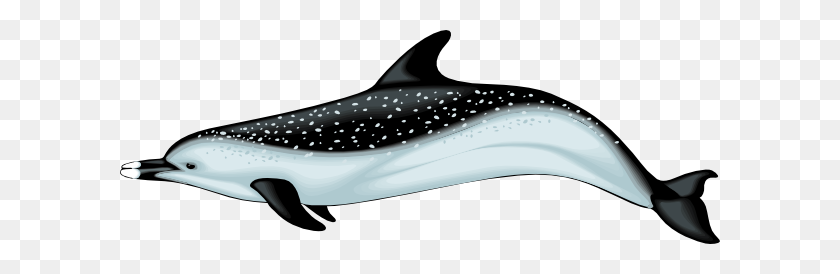 600x214 Blue And Black Dolphin With Spots Clip Art - Whale Shark Clipart