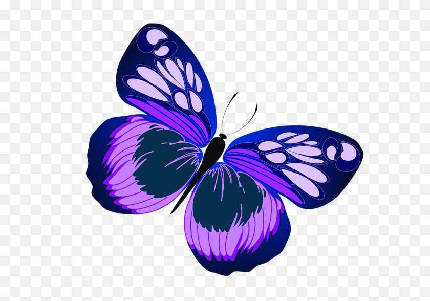 600x528 Blue And Purple Butterfly Png - Butterfly Images Clip Art