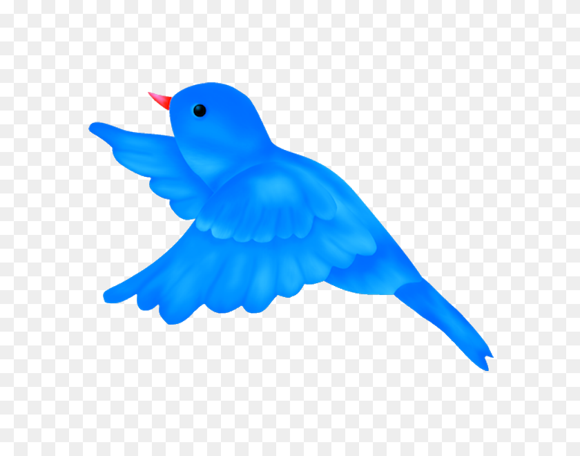 600x600 Blue Bird Clipart - Feather With Birds Clipart