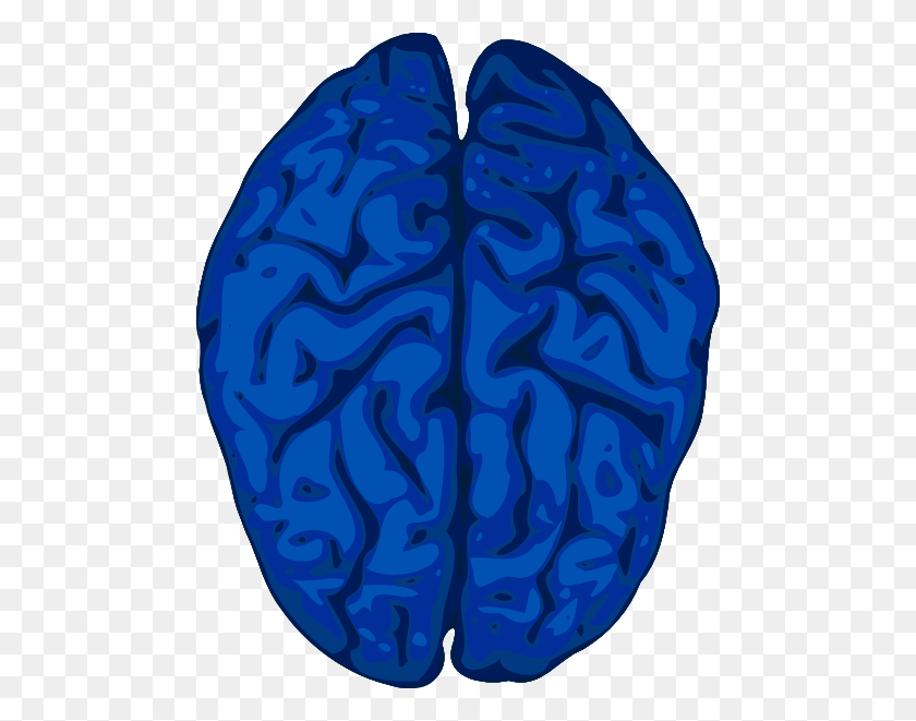 480x601 Blue Brain Clip Art - Brain Outline Clipart