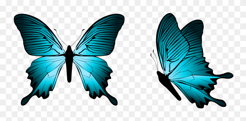 1425x645 Blue Butterfly Border Clipart - Butterfly Border Clipart