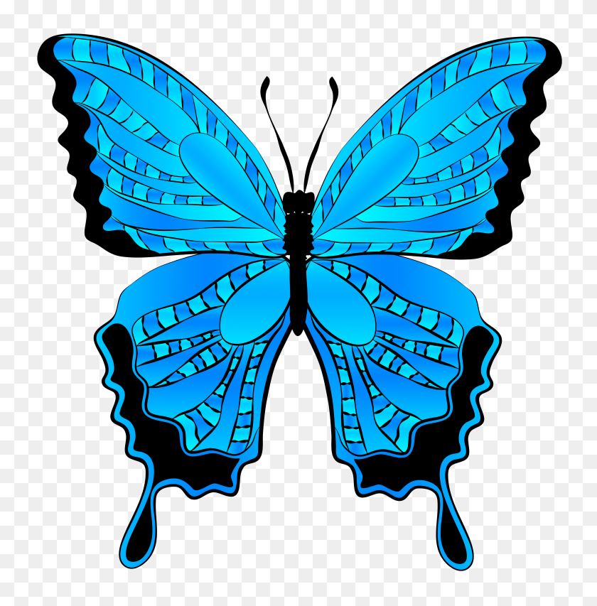 6117x6224 Blue Butterfly Clipart - Poinsettia Clip Art Free