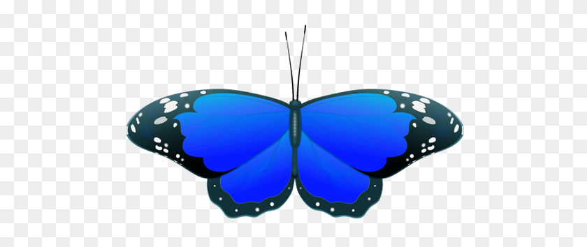 500x294 Imágenes Prediseñadas De La Mariposa Azul - Imágenes Prediseñadas De Imágenes De Boda