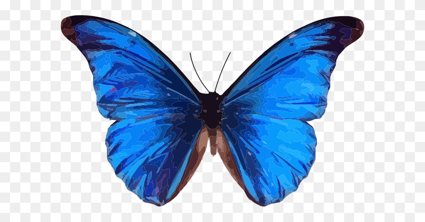 600x378 Imágenes Prediseñadas De Mariposa Azul Les Baux De Provence - Imágenes De Mariposas Imágenes Prediseñadas