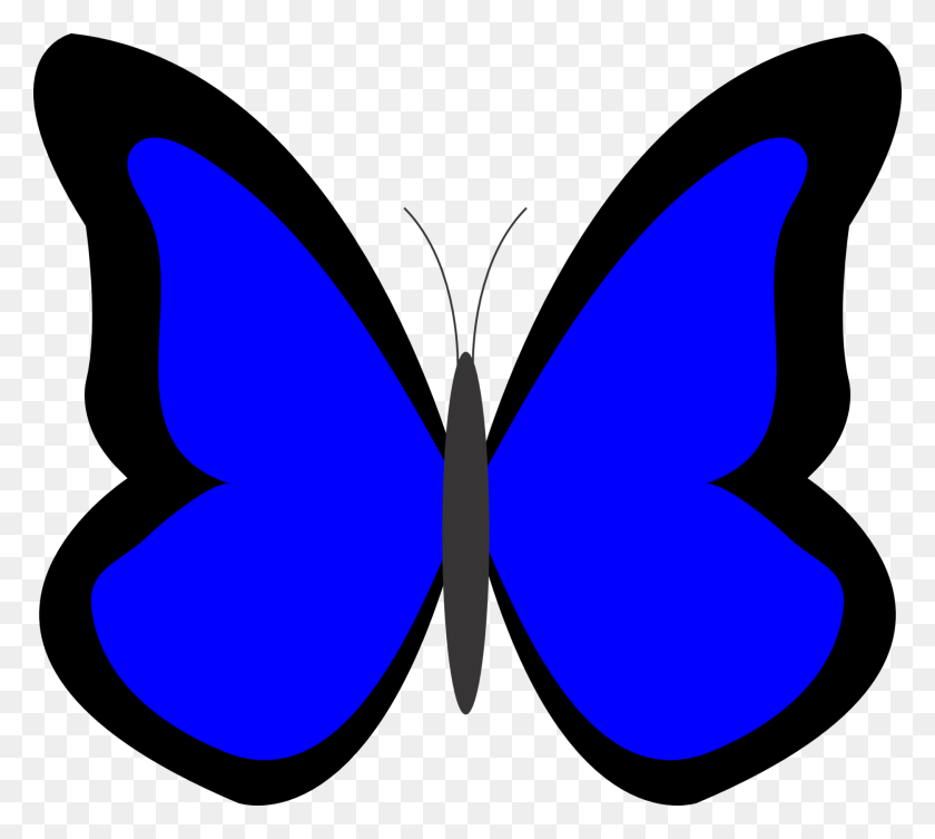 1871x1663 Голубая Бабочка Клипарт Посмотрите На Голубую Бабочку Картинки - Голубая Сойка Клипарт
