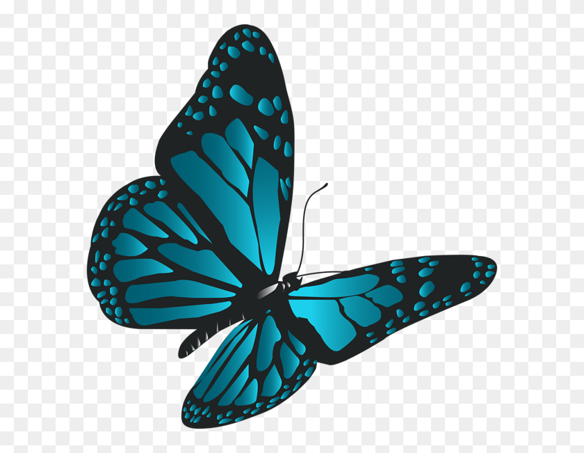 600x591 Mariposa Azul Png, Mariposa Azul Claro Clipart - Mariposa Real Png
