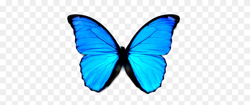 400x293 Blue Butterfly Png Picture Png Arts - Blue Butterfly PNG