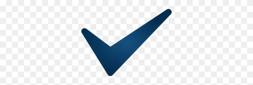 300x225 Blue Check Icon Png - Check Mark PNG