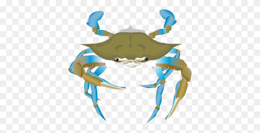 400x369 Blue Crab Drawing - Blue Crab Clip Art