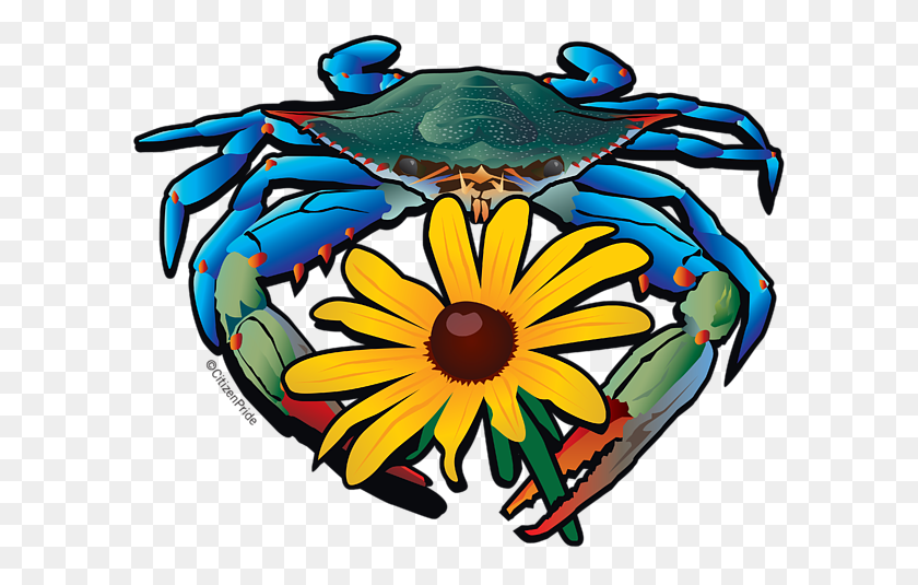 600x475 Blue Crab Maryland Black Eyed Susan T Shirt For Sale - Blue Crab Clip Art