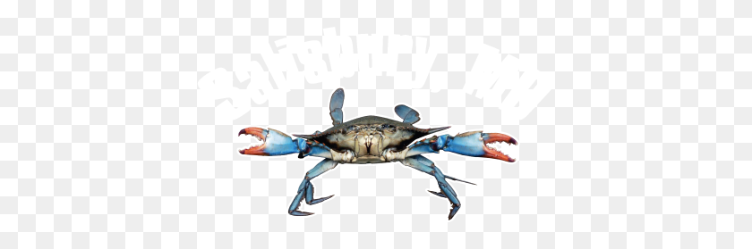 399x219 Blue Crab Png Png Image - Blue Crab PNG