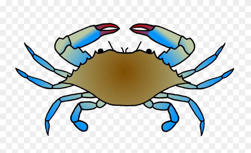 1100x639 Blue Crab Range Expansion - Blue Crab PNG