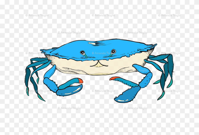 683x512 Blue Crab Wallpaper - Blue Crab Clip Art