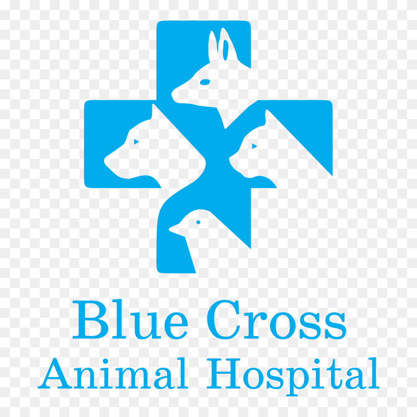 2400x2400 Логотип Больницы Синий Крест Животных Png Изображения С Прозрачным Вектором - Синий Крест Png
