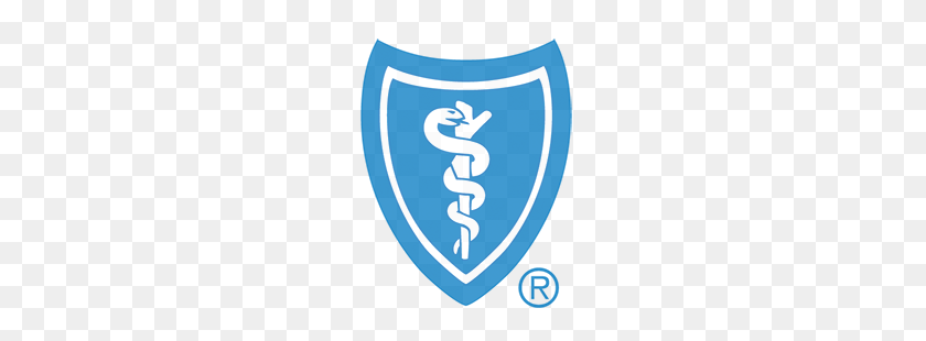 248x250 Blue Cross Blue Shield Logo - Shield Logo PNG