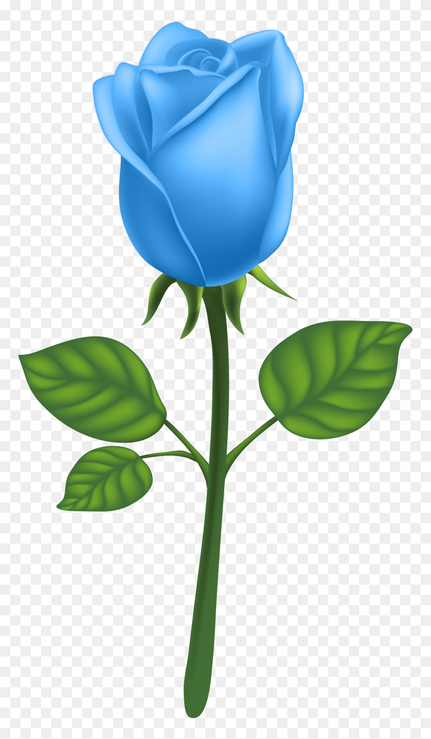 4518x8000 Blue Deco Rose Png Clip Art - Blue Rose Clipart