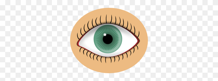 300x252 Blue Eye Clip Art - Eyeball Clipart