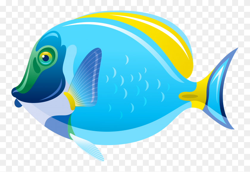 6000x4012 Клипарт Синяя Рыбка - Клипарт Синяя Рыбка