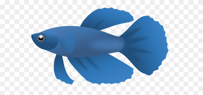 582x336 Blue Fish Png Clipart - Fish PNG