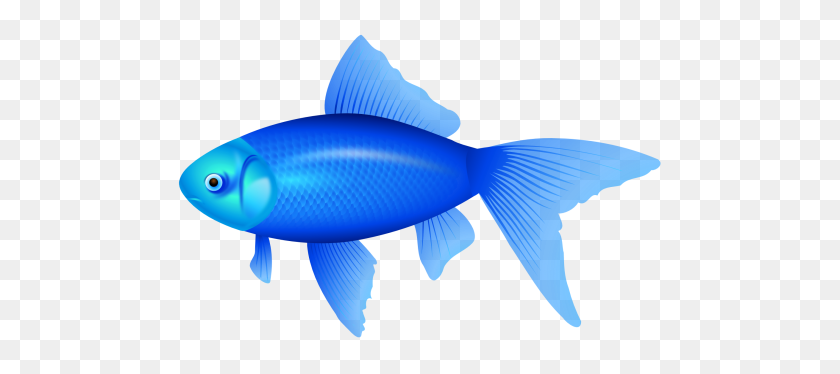 500x314 Blue Fish Png Clipart Image Fish Clipart Images - Betta Fish PNG