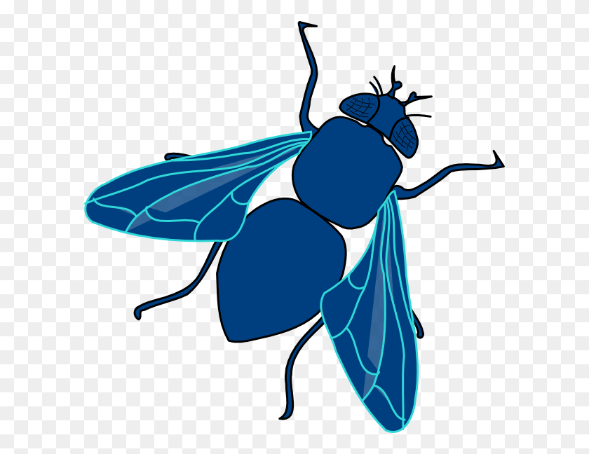 600x588 Blue Fly Clip Arts Download - Fly Clipart PNG