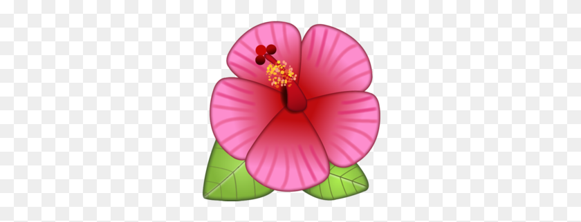 260x262 Голубой Гавайский Цветочный Клипарт - Гавайский Цветочный Клипарт