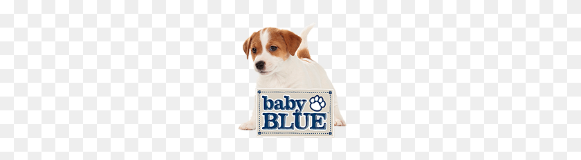 181x172 Blue High Protein, Корм Для Собак Без Зерна Blue Buffalo - Щенок Png