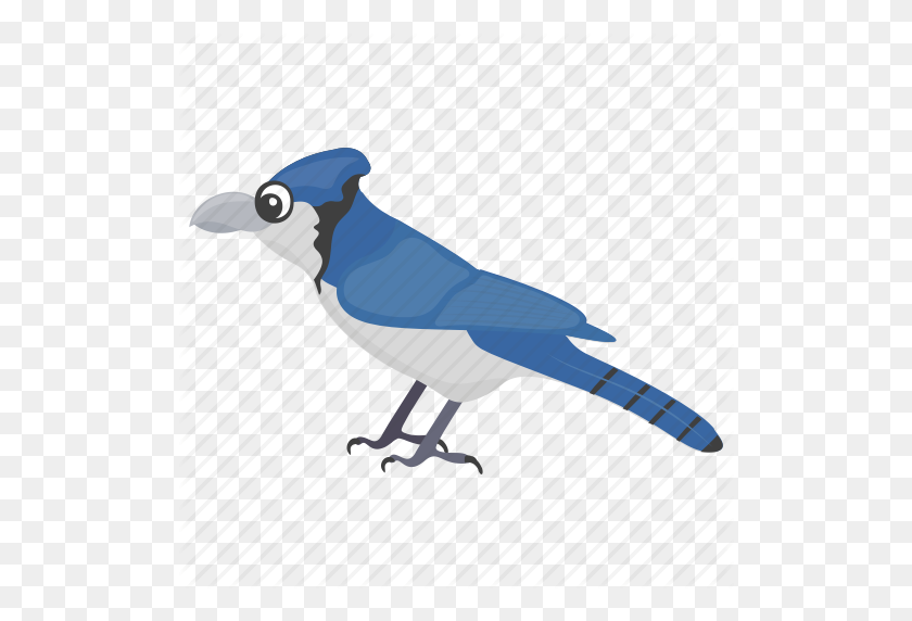 512x512 Blue Jay, Feather Creature, Fowl, Mockingbird, Pet Animal Icon - Mockingbird PNG