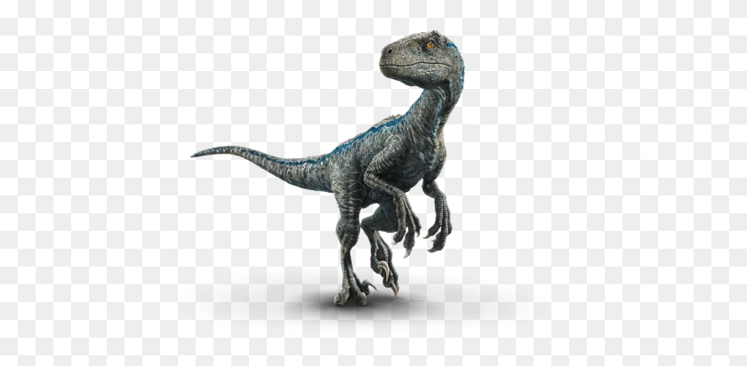 1440x651 Mundo Jurásico Azul - Velociraptor Png