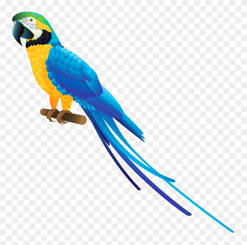 3316x3290 Blue Parrot Png Clipart - Photoshop Clipart