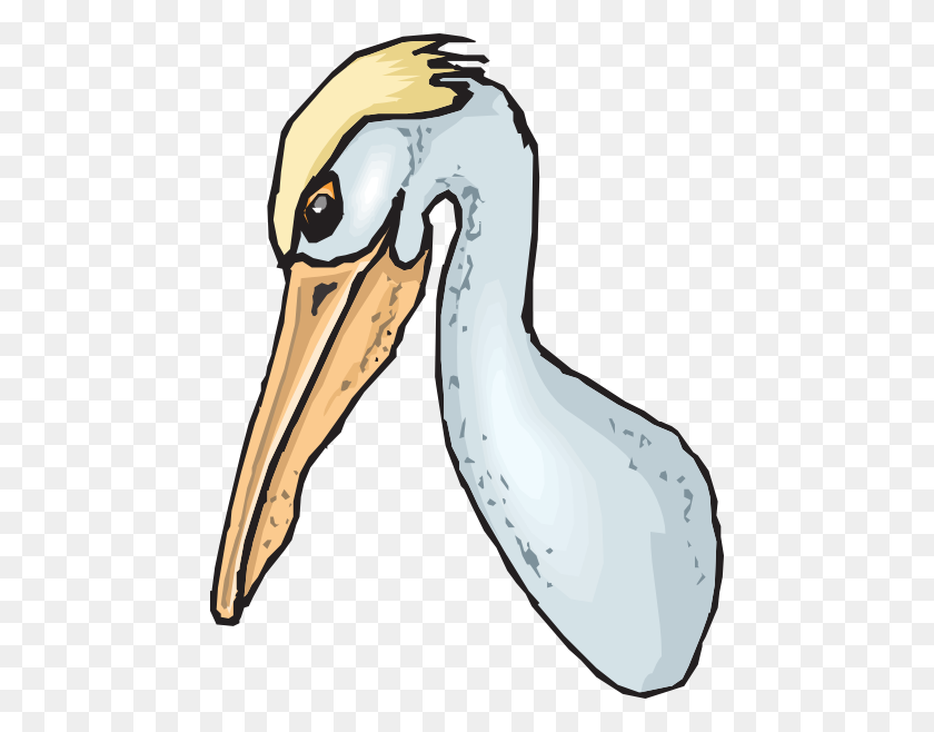 462x598 Blue Pelican Head Clip Art - Pelican PNG