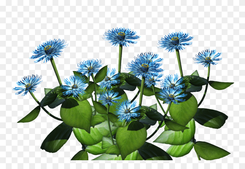 1023x682 Blue Plant Png Png Image - Tropical Plant PNG