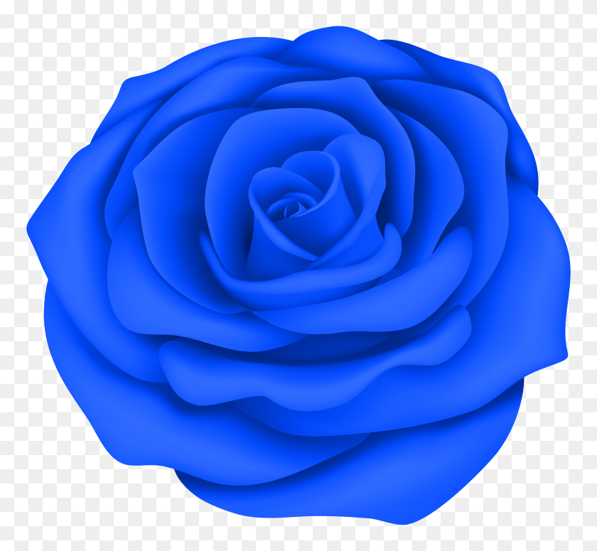 8000x7335 Blue Rose Flower Transparent Clip Art Gallery - Rose Flower Clipart