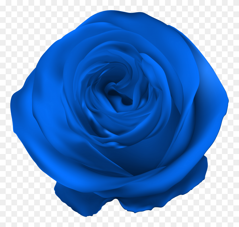 6000x5663 Blue Rose Png Clip - Blue Rose Clipart