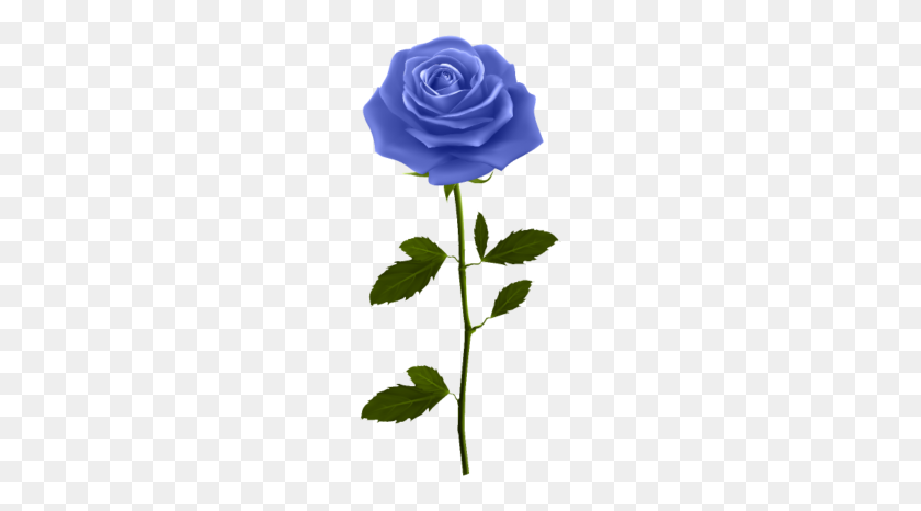 190x406 Blue Rose With Stem Png Clip Art Image - Sweater Clipart