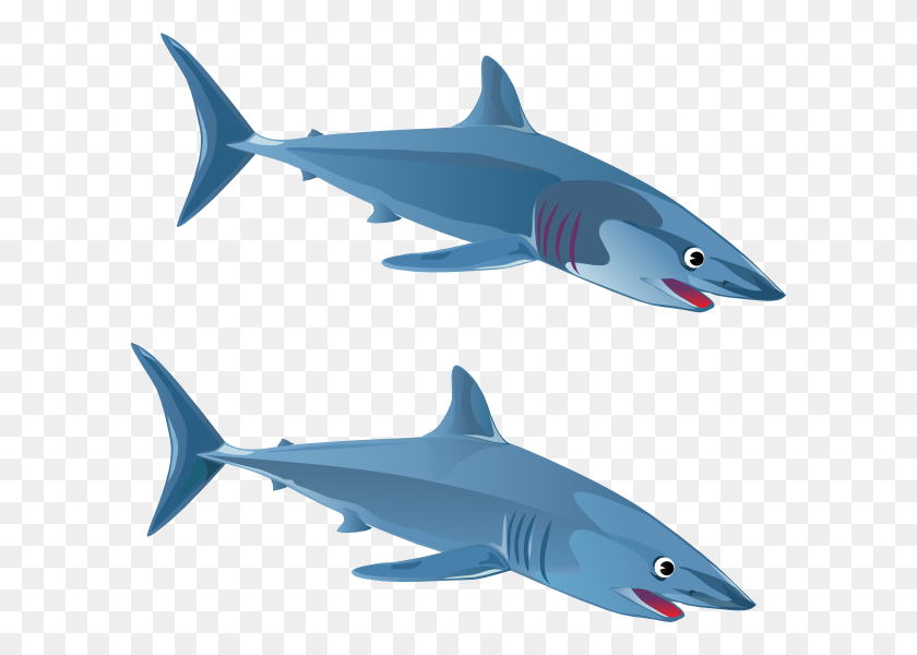 600x540 Blue Shark Clip Art - Shark Images Clipart