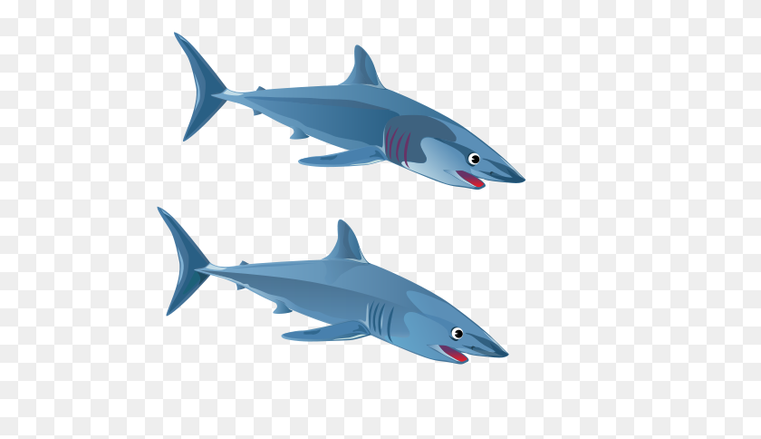 600x424 Синяя Акула Рыба Png Клипарт Для Интернета - Большая Белая Акула Png