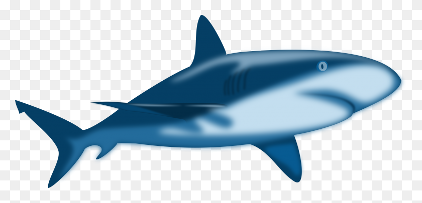 2400x1064 Blue Shark Vector Art Image - Dolphin Clipart PNG