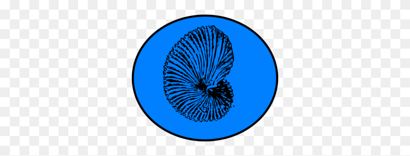 300x261 Blue Shell Clip Art - Blue Shell PNG