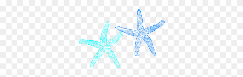 300x207 Голубая Морская Звезда Png, Клипарт Для Интернета - Звездная Рыба Png