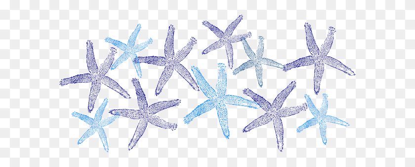 600x279 Blue Starfish Png, Clip Art For Web - Starfish Clipart PNG