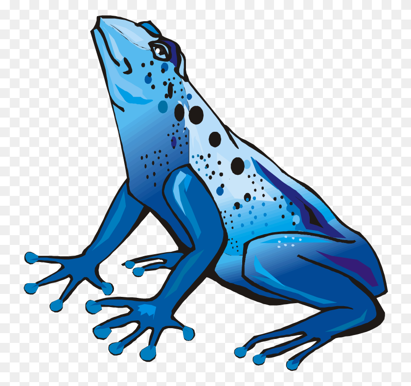 746x728 Blue Tree Frog Clip Art - Poison Clipart