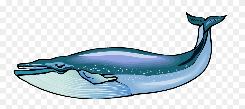 750x313 Blue Whale Clip Art - Whale Tail Clip Art