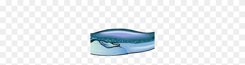 220x165 Blue Whale Clip Art Blue Whale Illustrations And Stock Art - Blue Whale Clipart