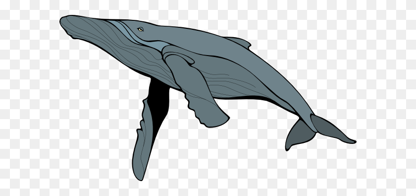 600x335 Blue Whale Png Free Download - Whale PNG