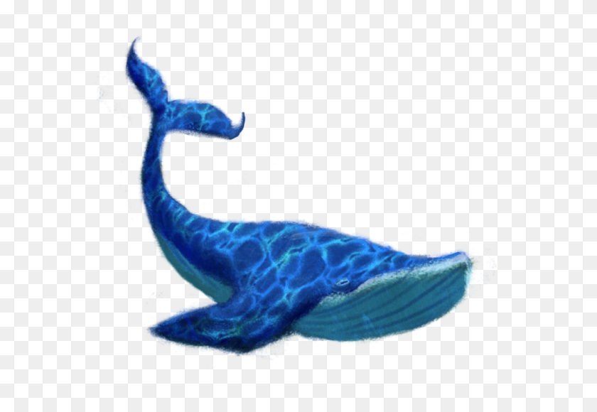 1024x683 Blue Whale Png Transparent Image - Whale PNG